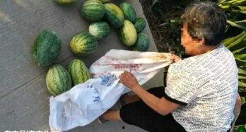 宁陵吃瓜最新事件爆料,揭秘背后惊人真相  第3张